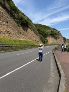 地層大切断面、バウムクーヘン